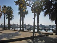 183 D36 LE LAVANDOU_000064